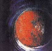 NUCLEAR DEATH (USA/AZ ): “The Planet Cachexial” Cd 1996 Cat’s Meow