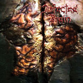 INFECTED BRAIN (Ger): “s/t” Cd 2006 s/p